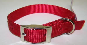 Omni Pet 445-10260 Omni Pet No.102N RD16 Nylon Collar Red .75 in x 16